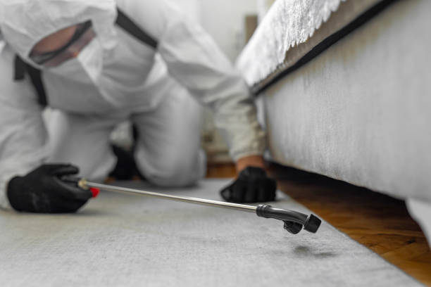 Professional Bed Bug Control technician working in East Setauket, NY