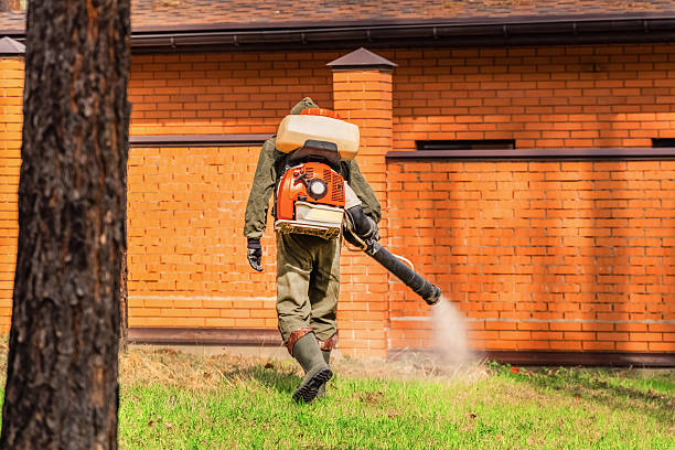 Trusted Termite Control service in East Setauket, NY - Nex Pest Control